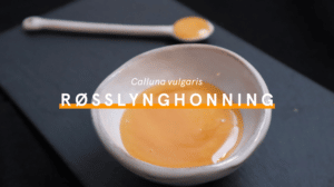 Røsslynghonning