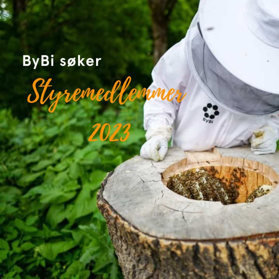 ByBi søker styremedlemmer - ByBi