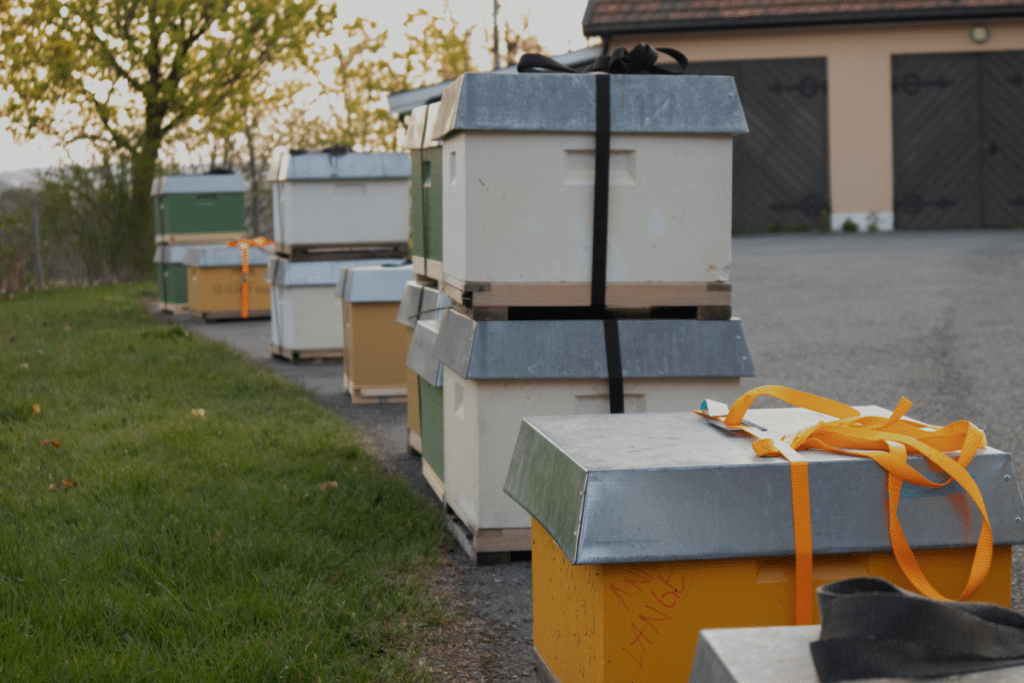 Medlemstjenester 2024 (1)