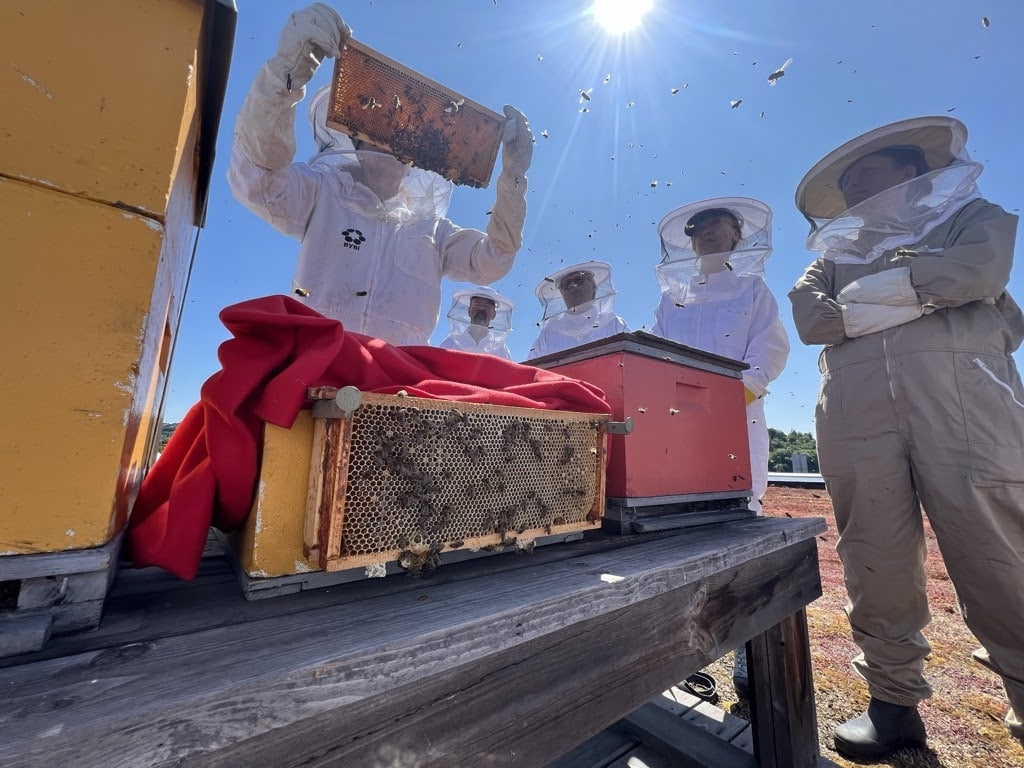 C576F97F-1918-40D8-A53D-0A1D27265192_1_105_c